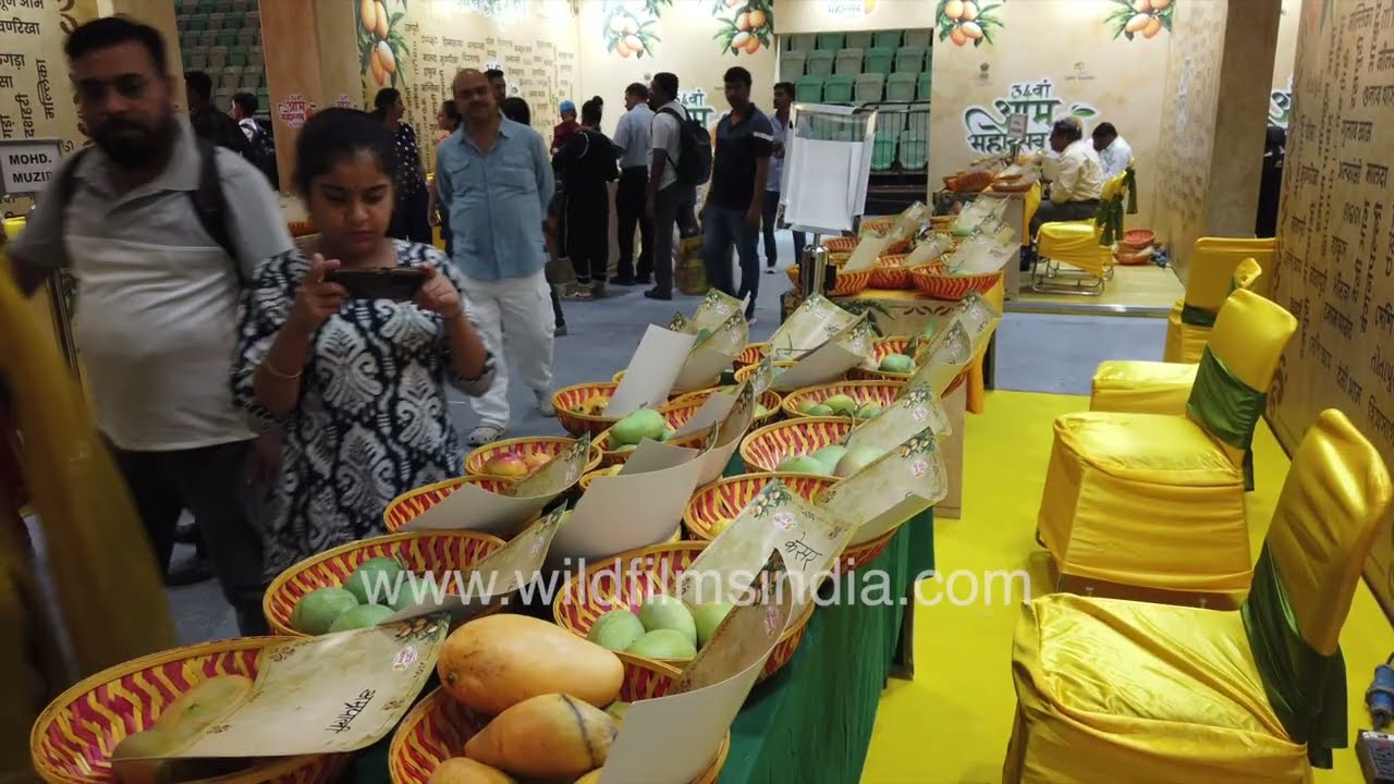 Mango Lovers’ Crowd shopping at Thyagaraj Stadium Mango Festival