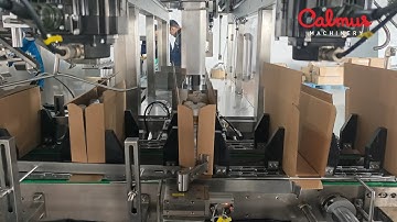 Wrap-Around Case Packer for Pouches | Doypack Packaging Machine