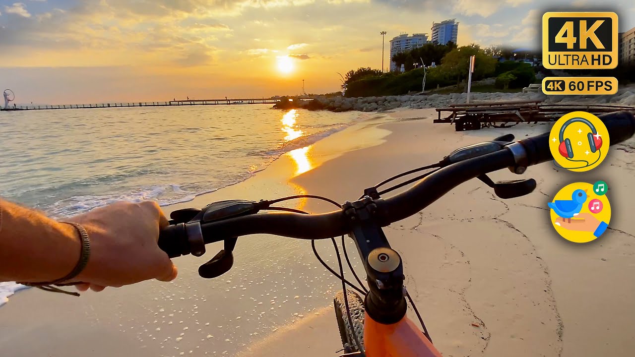 Bicycle Riding Sounds Bike Riding Early Morning Sunrise - (4K POV ASMR with Birds Singing and ...
