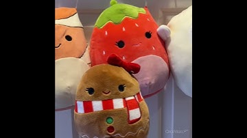 All of my 5 Inch Squishmallows!