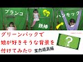 グリーンバックで娘が好きそうな背景を付けてみた　~室内遊具編~