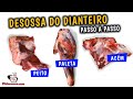 Cortes do Boi - Desossa Dianteiro (Acém, Paleta e Peito) Vamos por Partes - Tv Churrasco