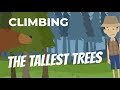 Tree Climbing and Conservation Quiz