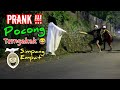 Prank Pocong Sahur || Bikin Ngakak🤣🤣🤣