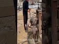 Momentos de trabajo increíblemente satisfactorios #viral #satisfactorio #trabajointeligente #asmr