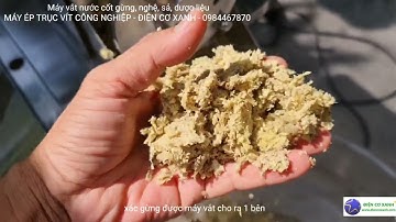 Máy vắt nước cốt gừng, nghệ, sả... Điện Cơ Xanh - 0984467870