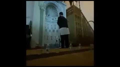 تلاوة جميلة للقارئ محمود بن عائشة.سورة يوسف