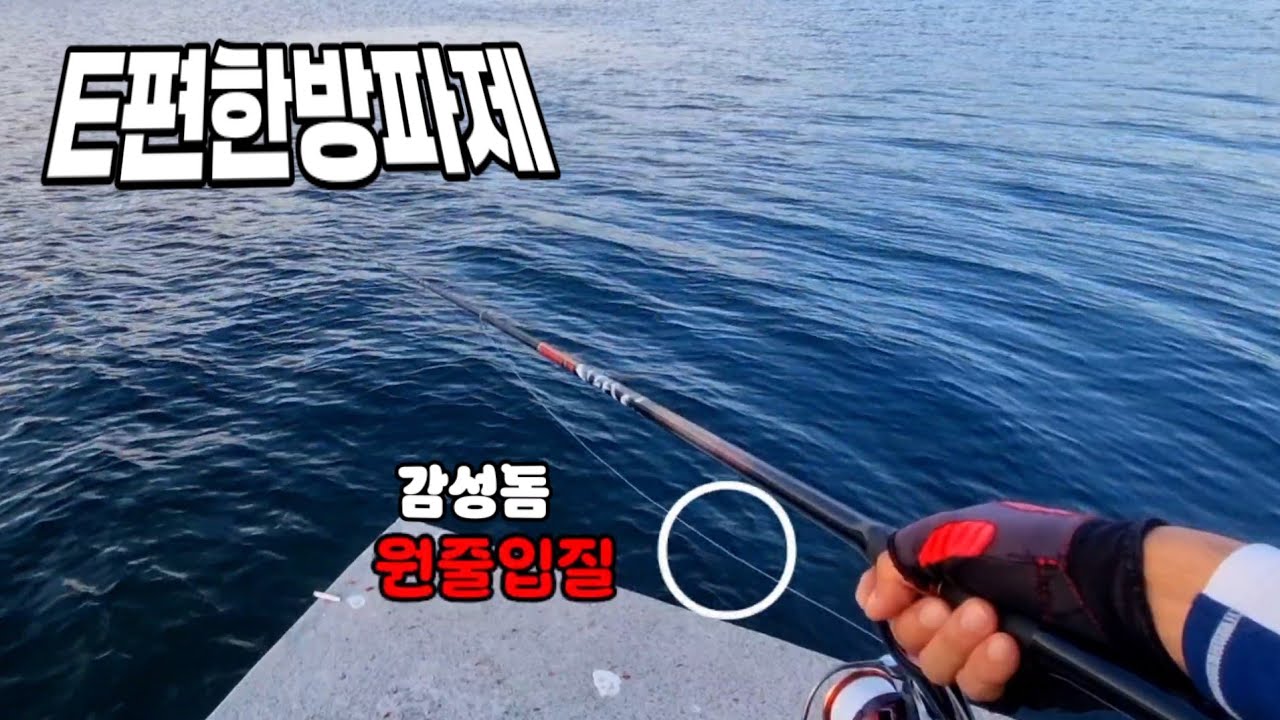방파제에 어둠이내리는순간 감성돔입질이시작됩니다.