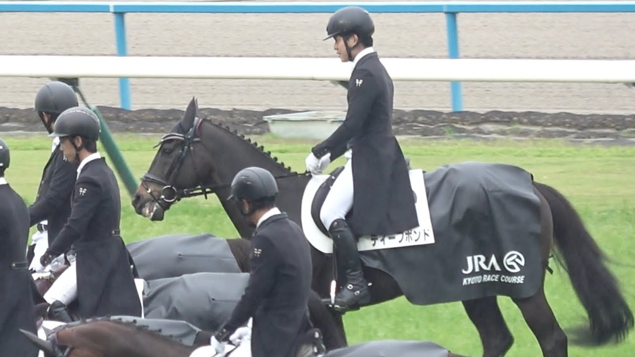 現地】2026 G1 天皇賞（春） 本馬場入場 ザ・チャンピオン 【誘導馬 