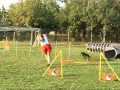 Bryn agility training 15m old