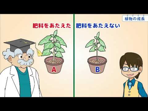 小5理科 植物の成長 Youtube