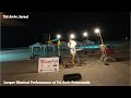Musical Performance on Looper at Tel Aviv Promenade | NirisEye | Bograshov Beach