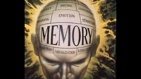 The Aftermath following the Use of Deadly Force Part 3