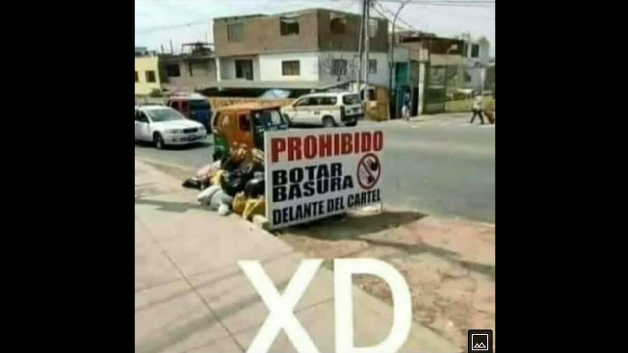 🤣Si te ríes pierdes🤣 ¿Podrás aguantar la risa? Memes random 