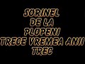 SORINEL DE LA PLOPENI    TRECE VREMEA ANI TREC