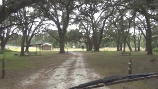 Green Swamp West Free Camping In Florida