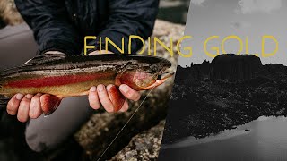 This is Where we Searched for the Biggest Golden Trout in the World