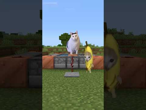 Huh猫を空に飛ばすバナナ猫　#マイクラ #猫ミーム #bananacat