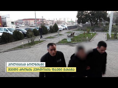 პოლიციამ ბოლნისში შვიდი ძროხის ქურდობის ფაქტი გახსნა