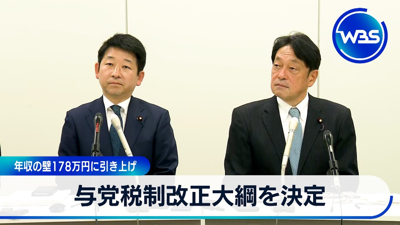 Ruling party decides on tax reform outline, raising annual income 