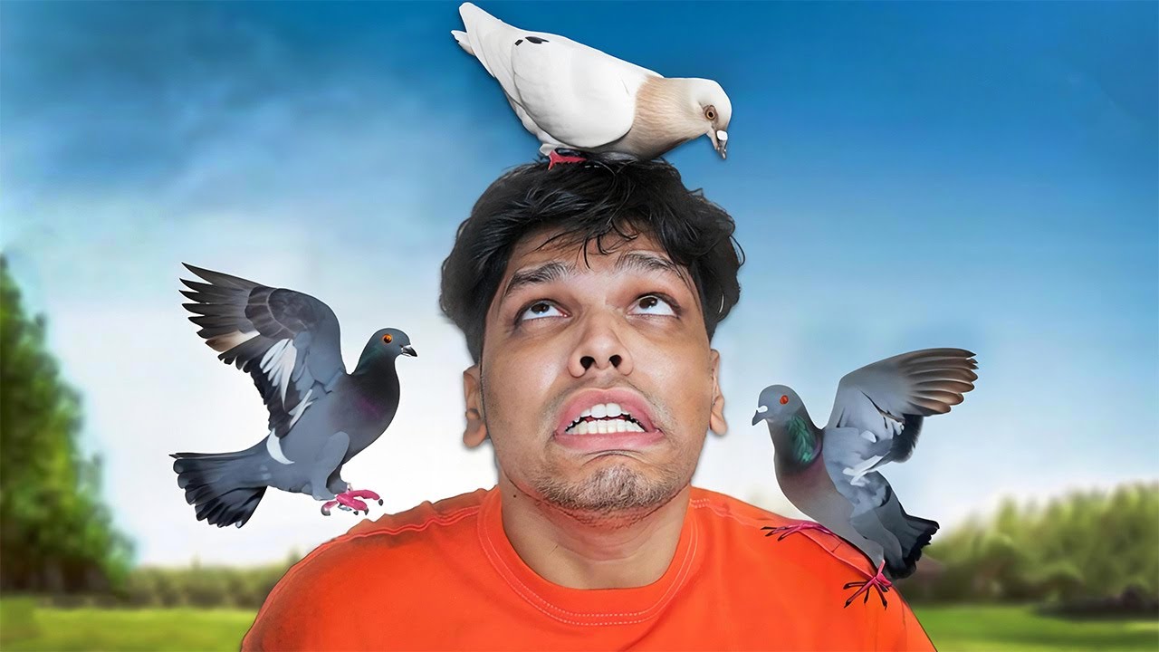 PIGEON PRANK ON BEST FRIEND YouTube