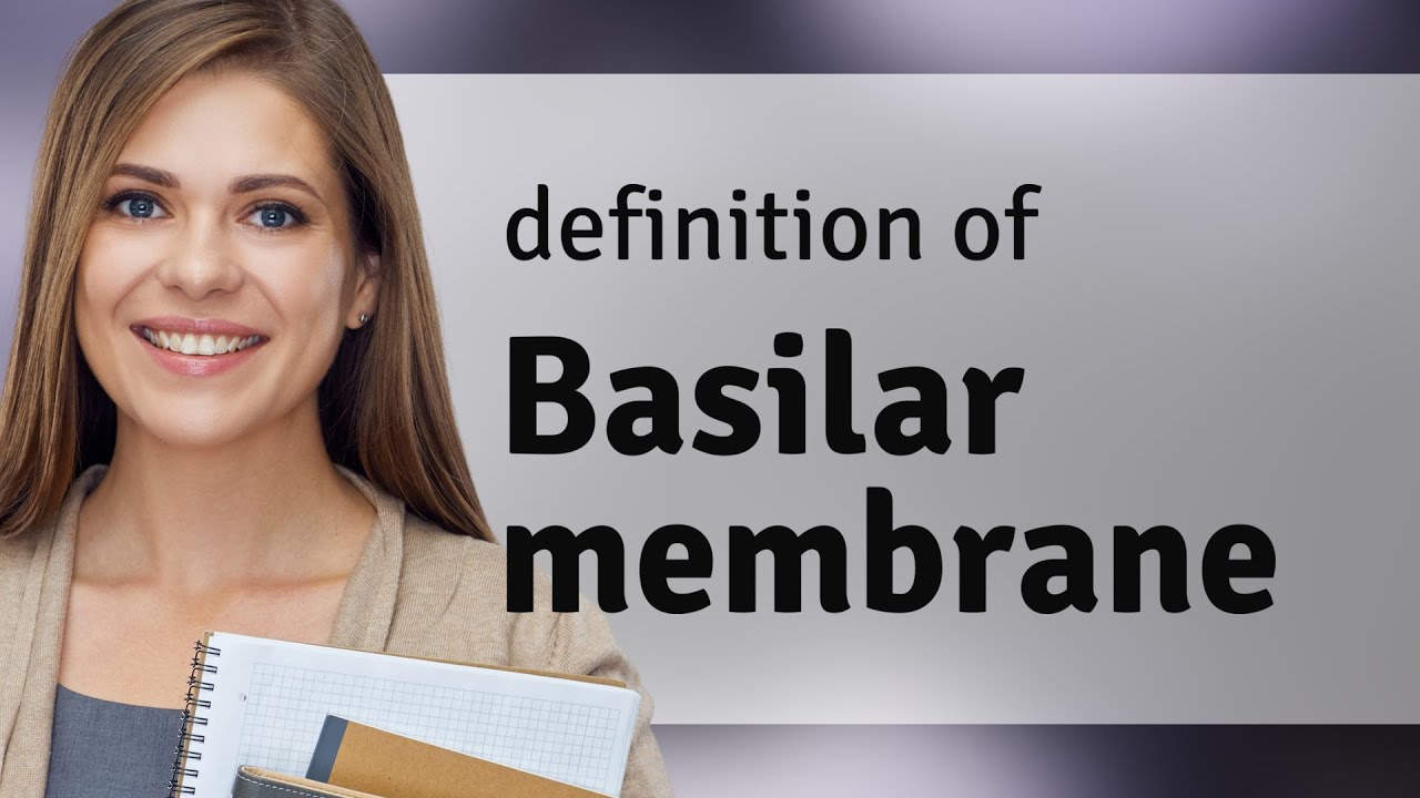 Basilar membrane • meaning of BASILAR MEMBRANE - YouTube
