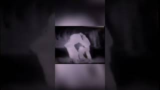 Mastering The Judo Lift-Pull Loin Throw: Step-by-Step Guide #shorts