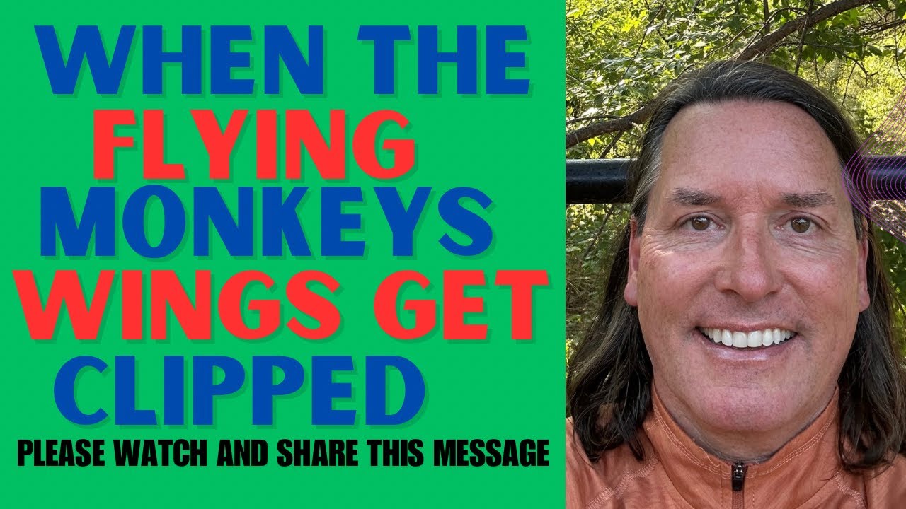WHEN THE FLYING MONKEYS WINGS GET CLIPPED