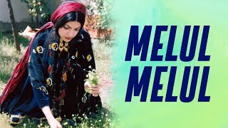 Hüseyne Fari - Melul Melul