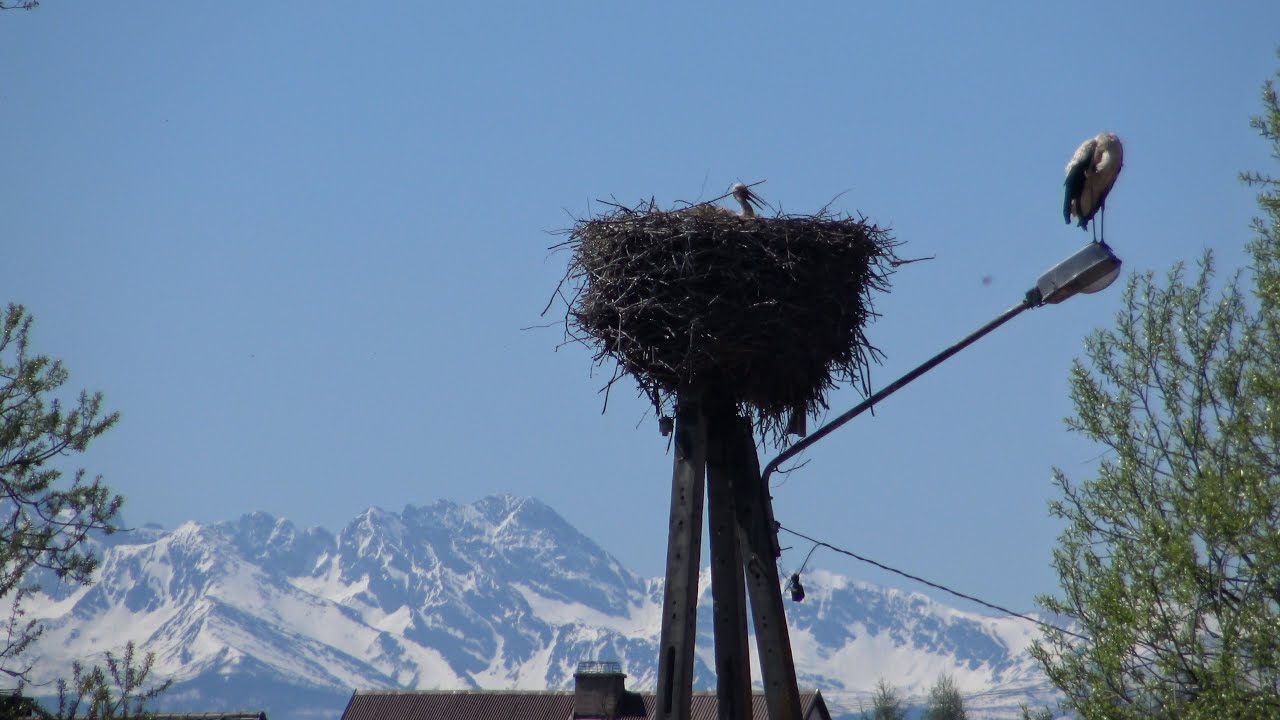 Łopuszna w 4K - (Dwór Tetmajerów, zabytkowy kościół, Tischnerówka, Izba Pamięci ks. prof. Tischnera)