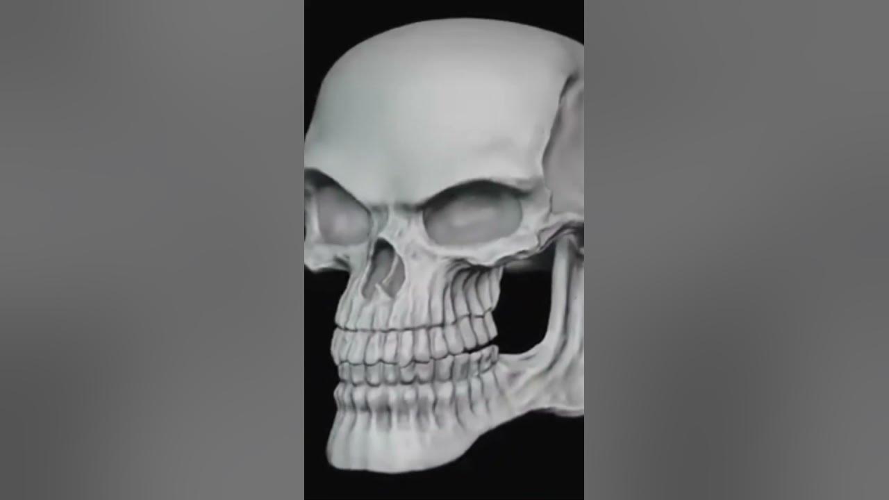 Bad to the bone riff - YouTube