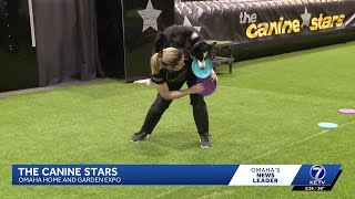 The Canine Stars bring high-flying rescue dog show to Omaha Home & Garden Expo