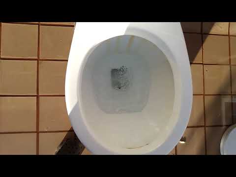 Video 2009 Glacier Bay toilet flushes - youtube