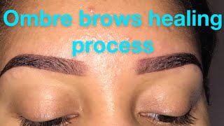 OMBRÉ BROWS HEALING PROCESS! Profile