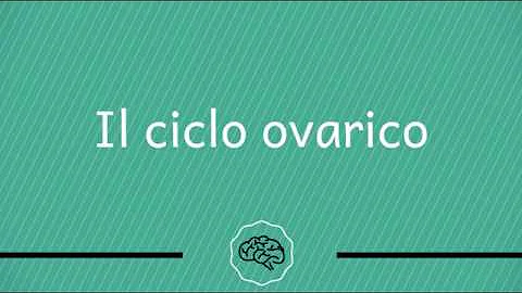 Quale ghiandola produce gli ormoni che controllano il ciclo ovarico?