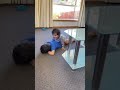 Nivika Enjoy Sovik Bhaiya’s back ride#sovikvlogs #indianinaustralia #shorts #cutebaby #tasmania