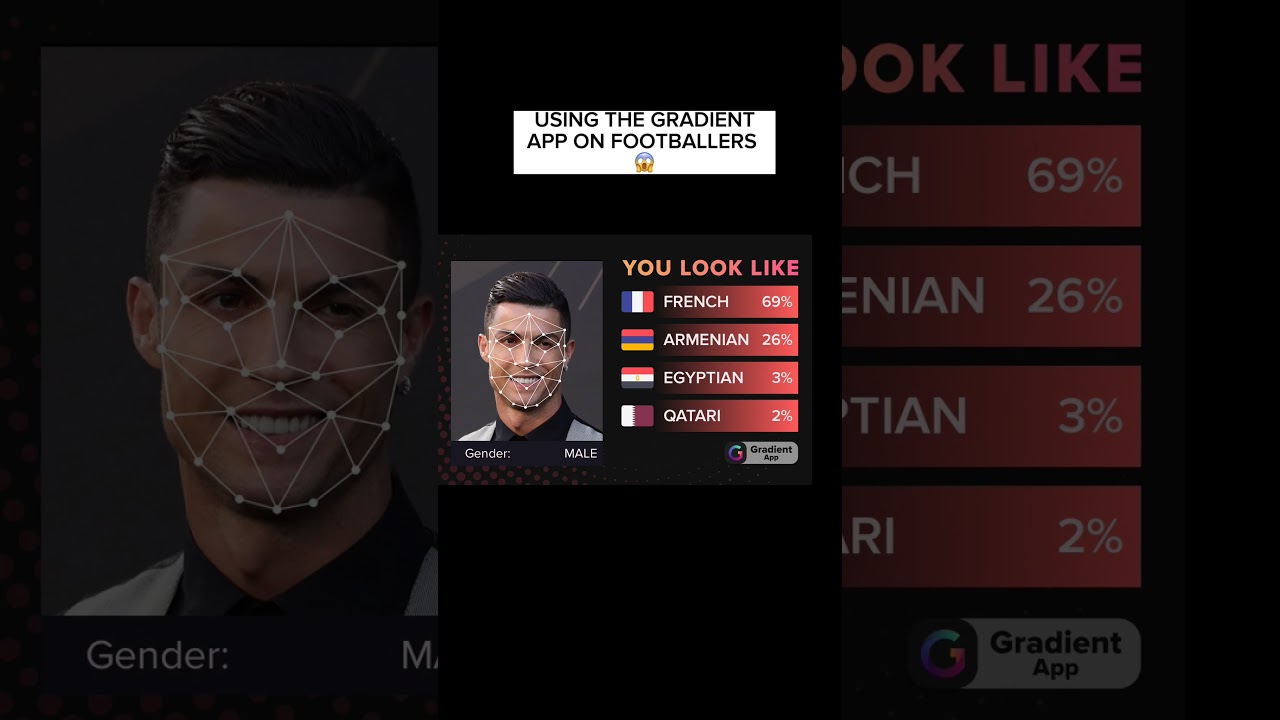 Reveal Your Multicultural Twin Searcher with Gradient