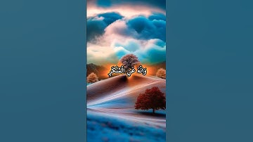 يٰبُنَىَّ اَقِمِ الصَّلٰوةَ وَاۡمُرۡ بِالۡمَعۡرُوۡفِ |سورةالقمان|#quran #القرآن_الكريم #اسلام_صبحي