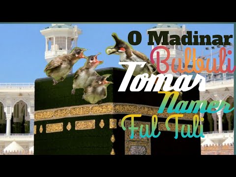 O Madinar Bulbuli Tomar Namer Ful Tuli  Bangla islamic song  New bangla gojol