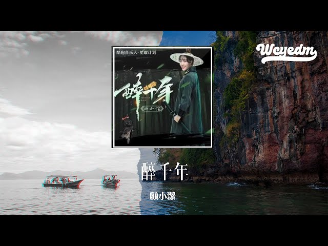 顾小洁 - 醉千年 (DJ阿崎版)「百年修 同船渡 千年修得共枕眠」【動態歌詞/pīn yīn gē cí】#顾小洁 #醉千年 #動態歌詞