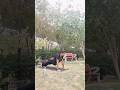 10th yoga Day celebration #yoga #clebration #stayfiteveryday #dailyroutine #fitness #fitnesscoach