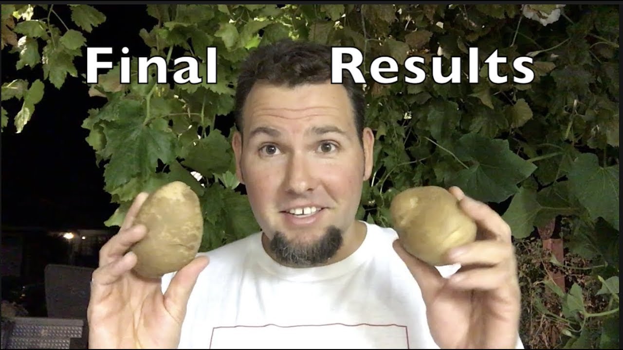How to Grow 100 Pounds of Potatoes in 4 Square Feet / Part 14 Final