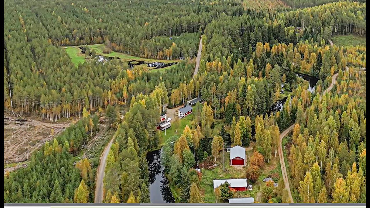 Rauanjoki , Polvijärvi