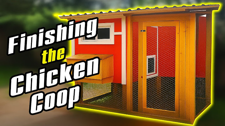 I FINALLY Finished the ULTIMATE Backyard Chicken Coop - From Dream To Reality