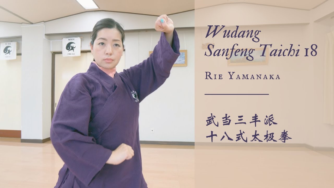 Wudang Sanfeng Taichi 18 武当三豊派18式太極拳 - YouTube