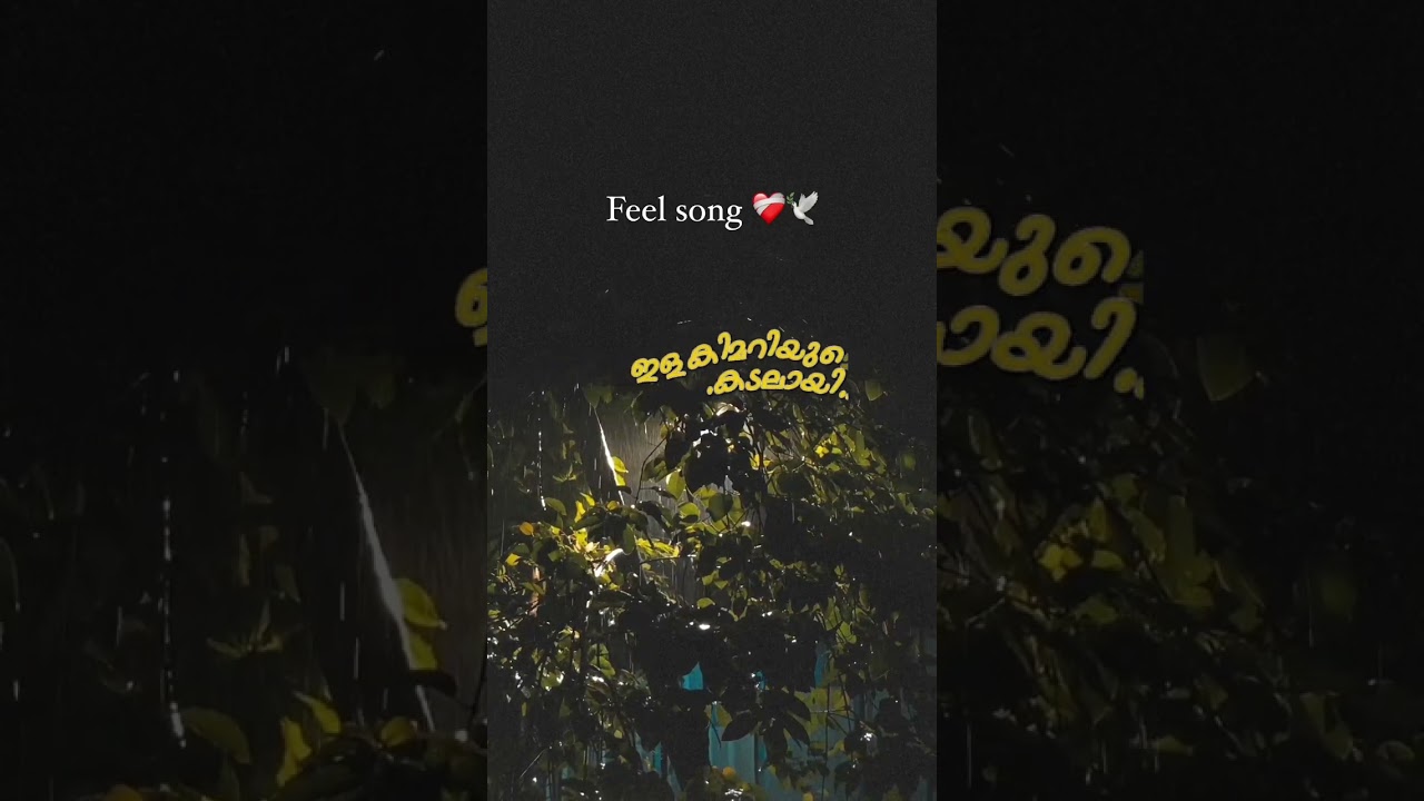 ꜰᴇᴇʟ ᴛʜᴇ ꜱᴏɴɢ❣️💫🦋 #music #love #coversong#story #song #youtubeshorts #guitar #malayalam #creator