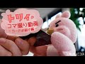 【トリィのコマ撮り動画】トリィ カードお届け編（三菱UFJニコス）