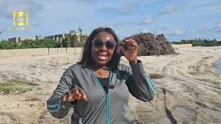 Inside Deavocado Prime Abijo Gra New Luxury Bungalows, Terraces Duplexes In Lagos, Nigeria