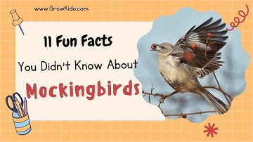 11 (New) Mockingbird Facts You Didn