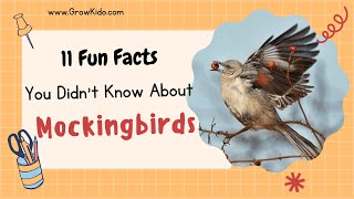 11 (New) Mockingbird Facts You Didn't Know [Must Check #5]